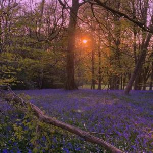 دانلود آهنگ ترکی کالبیم بوز گیبی